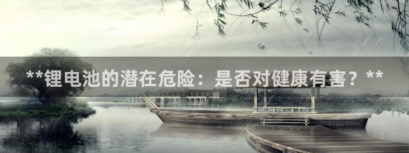 尊龙凯时处理未到账