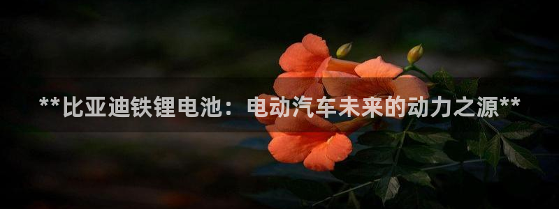 尊龙凯时是赌博嘛