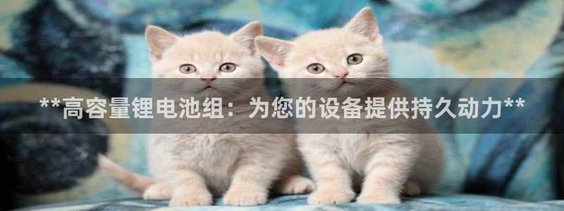 尊龙人生就是博手机版下载