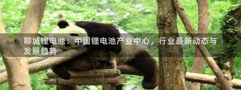 尊龙凯时怎么样没听说过