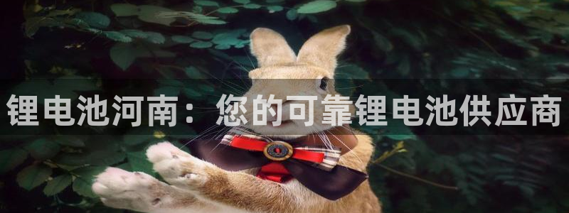 d88尊龙官网手机app
