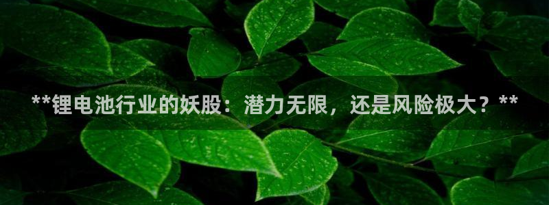 尊龙 国外