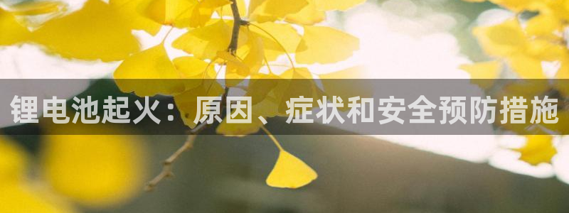 尊龙凯时人生就是搏 品牌专区