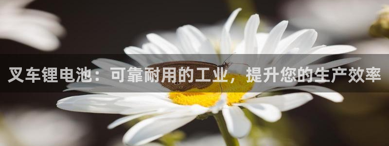 尊龙凯时ag旗舰厅官网客服