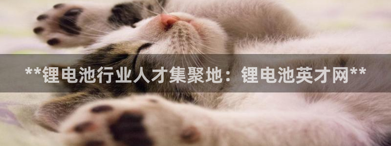 尊龙官网免费下载