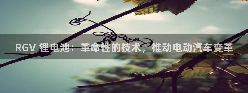 凯时a88