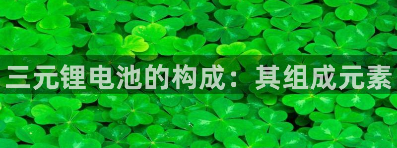 尊龙凯时处理未到账