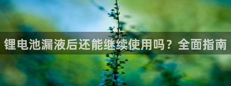尊龙人生就是博旧版现