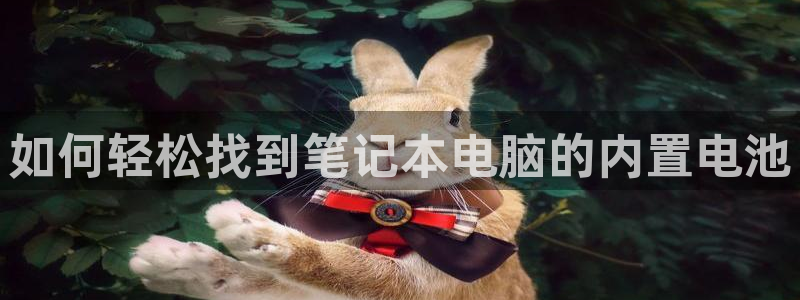 尊龙人生就是博一下下