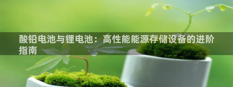 尊龙官网网站