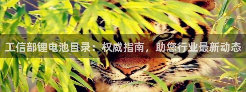凯时尊龙app国际官方网站