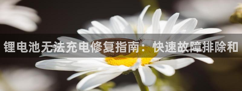 尊龙凯时人生就是搏首页