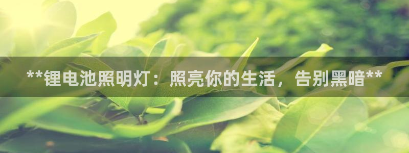 z6com尊龙凯时代理
