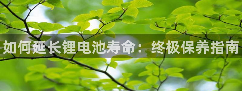 尊龙凯时人生就博官网