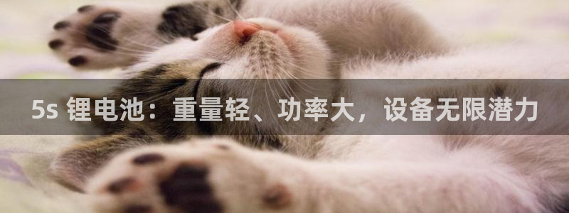 尊龙游戏app官方网站