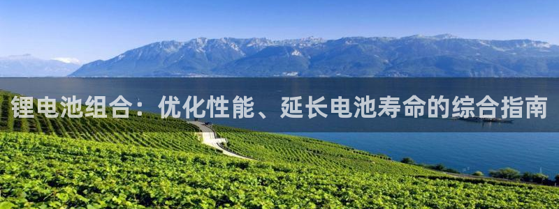 旧版尊龙人生就是博下载