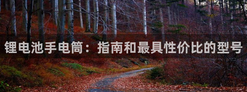 尊龙凯时平台怎么样