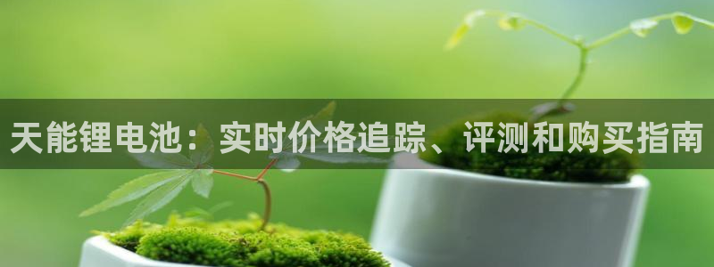 尊龙集团有限公司