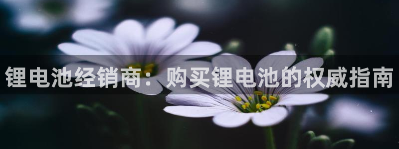 尊龙 中国