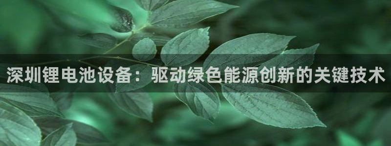 Z6尊龙老版