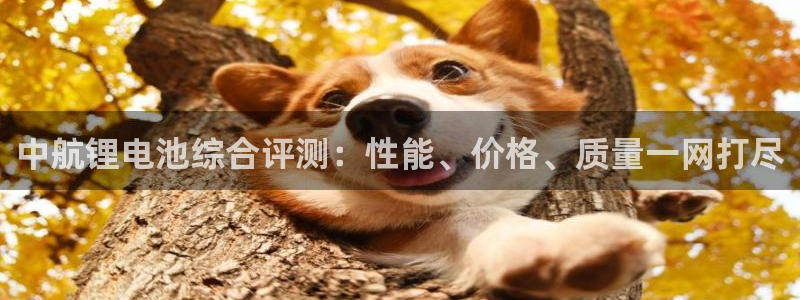 尊龙凯时是正规平台吗