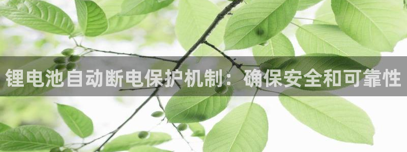 尊龙d88ag旗舰厅