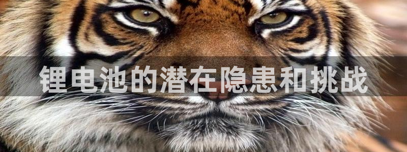 尊龙凯时人生就是搏 品牌专区