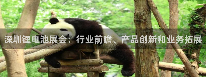 尊龙官方APP下载