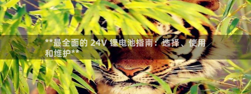 尊龙游戏官方网