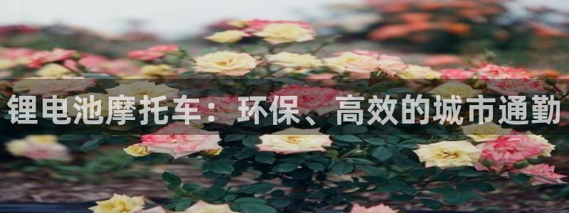尊龙人生就是一博!