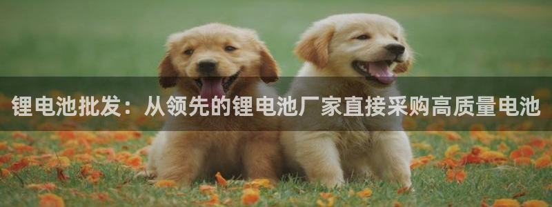 尊龙凯时下载人生就是博