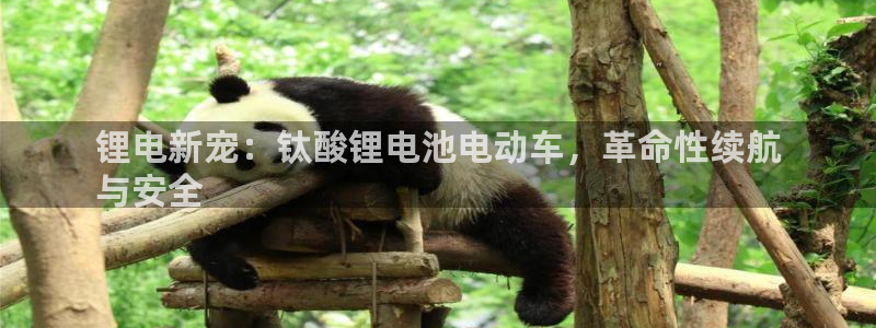 凯时K8国际