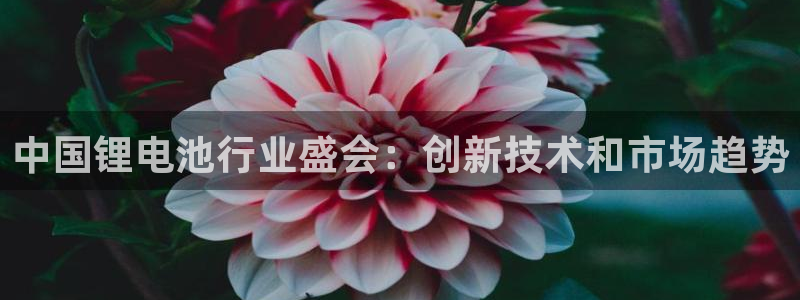 尊龙凯时推荐人