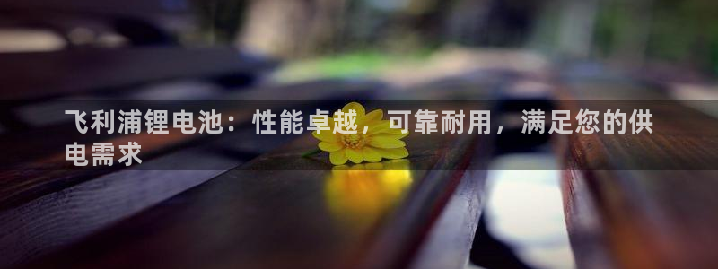 凯时国际网站域名