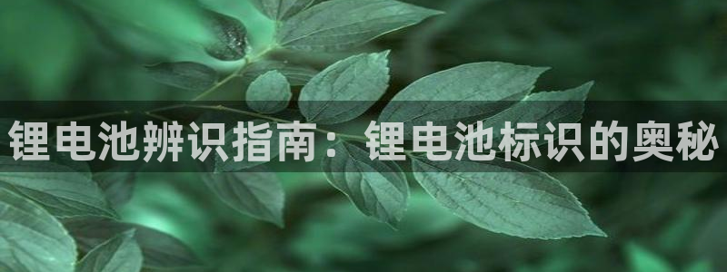 尊龙官方网站首页