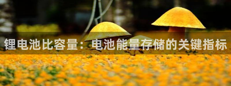 尊龙凯时发展历程