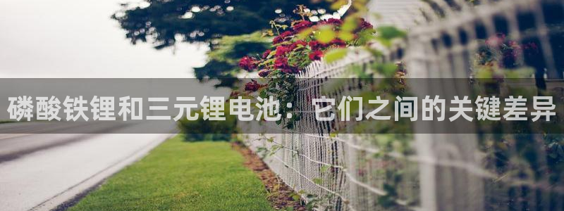 尊龙凯时ag旗舰厅