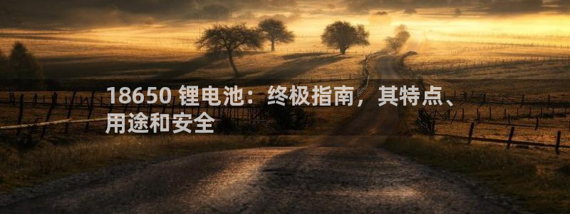 尊龙人生就是-首页(中国)有限公司