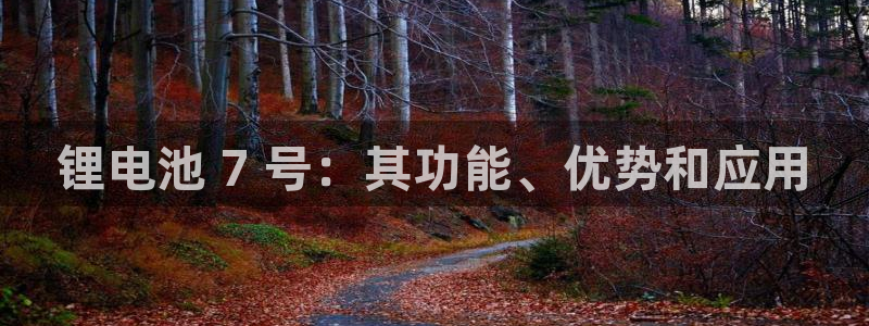 尊龙凯时取款不成功