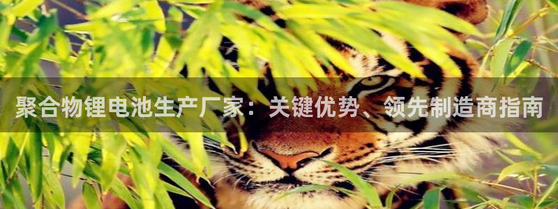 尊龙凯时论坛