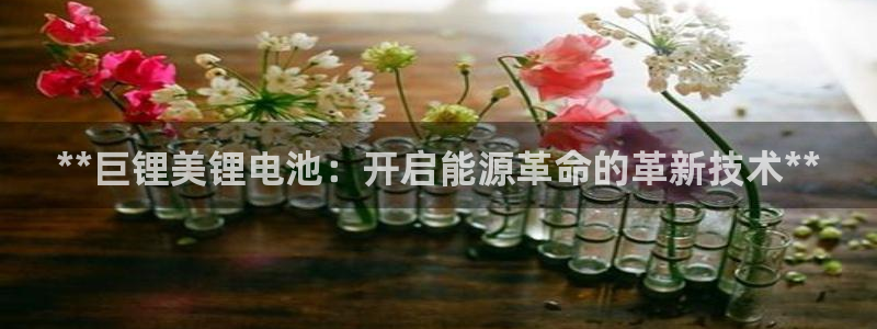 尊龙版末代皇帝