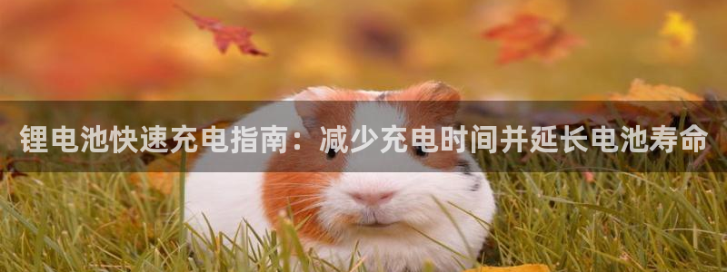 尊龙/人生就是博