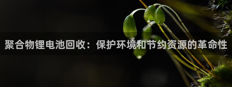 ZL尊龙凯时平台