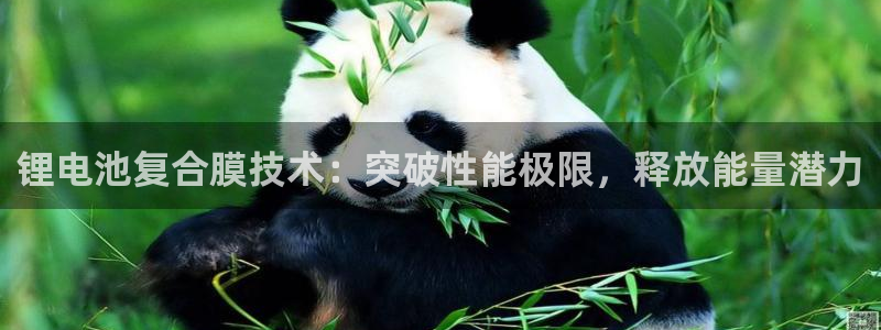 尊龙凯时电竞