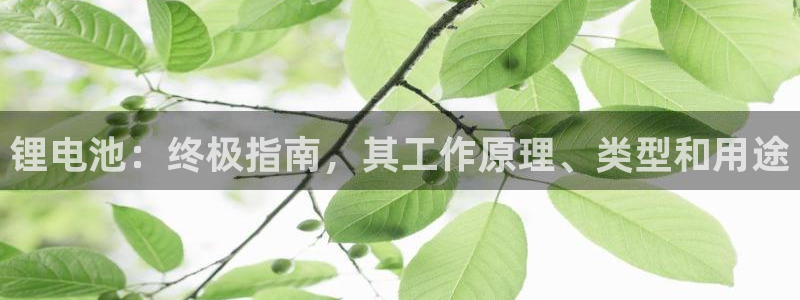 尊龙网页