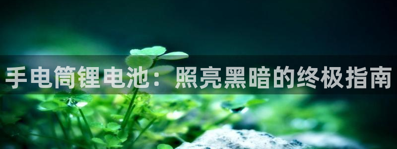 尊龙凯时 人生就是搏!平台