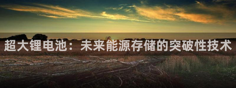 尊龙凯时充值不到账