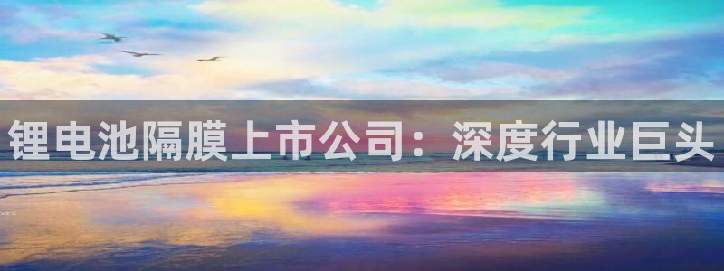 尊龙t500和t300区别