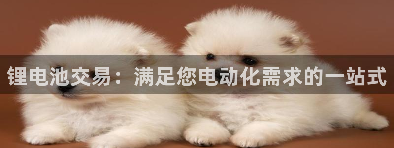 尊龙凯时邀请码