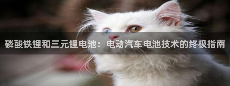 z6com尊龙凯时百家乐下载